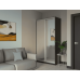 Шкаф купе Сити Лайт Doros Венге 2 Зеркала 120х60х225 (240040)
