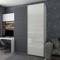 Шафа-купе дводверна Doros G-Caiser 180х60х240 см Біла/Графіт/1 Скло (DRS-011019)