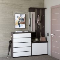 Передпокій для дому Еверест Мікс з комодом на 5 ящиків Мікс-1 (ролики) венге + білий (DTM-2540)