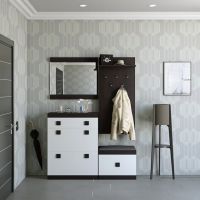 Прихожая Эверест Соната 5 (модульная - 4 элемента) венге темный + белый (DTM-2529)