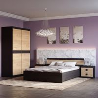 Спальня Соната Еверест Комплект 11 (модульна - 4 елементи) венге темний + дуб золотий крафт (DTM-2641)