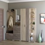 Прихожая Эверест Бриз-4 с распашным шкафом ШП-2 (4 элемента) сонома + трюфель (DTM-2659)