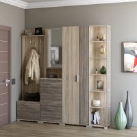 Прихожая Эверест Бриз-4 с распашным шкафом ШП-2 (4 элемента) сонома + трюфель (DTM-2659)