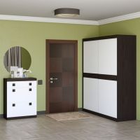 Передпокій Еверест Соната комплект 11 (модульний - 2 елементи) венге темний + білий (DTM-2524)