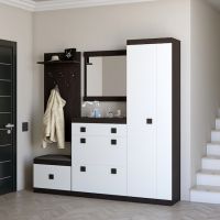 Прихожая Эверест Соната 1 (модульная - 5 элементов) венге темный + белый (DTM-2531)