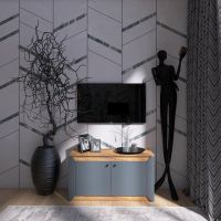 Тумба 2-х дверна закрита Еверест Нордік-980 98х38х53 см Графіт + Дуб крафт золотий (DTM-5526)