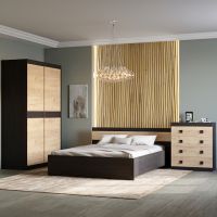 Спальня Соната Еверест Комплект 15 (модульна - 3 елементи) венге темний + дуб золотий крафт (DTM-2621)