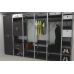 Шкаф Гардероб Уни секция 6 серии Конект Ferrum-decor 220x60x50см Серый металл ДСП Венге Магия 16 мм (FRD-104576)