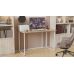 Комп'ютерний стіл Ferrum-decor Ханна 75x120x60 білий ДСП Дуб Сонома 16мм (FRD-104001)