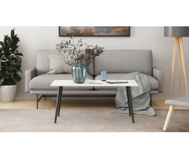 Стіл журнальний Монтана Ferrum-decor 45x100x50 Чорний метал ДСП Білий 16 мм (FRD-106717)