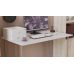 Комп'ютерний стіл Ferrum-decor Ханна 75x120x70 сірий ДСП Білий 16мм (FRD-101431)