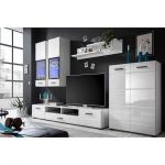 Модульная стенка для гостиной BRW (БРВ) Арктика Нимфея альба + Белый глянец (GRB-1897)