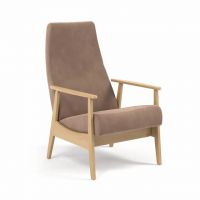 Крісло дизайнерське Retro WUDUS (Ретро Вудус)