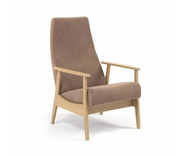 Кресло дизайнерское Retro WUDUS (Ретро Вудус) Кресло дизайнерское Retro WUDUS (Ретро Вудус)