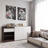 Комод без ручек с двумя дверцами, ящиком и полками RS-3 Moreli (Морели) Венге темный/Белый