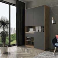 Шкаф распашной для книг и документов RS-1 от Moreli (Морели) АппалачиАнтрацит