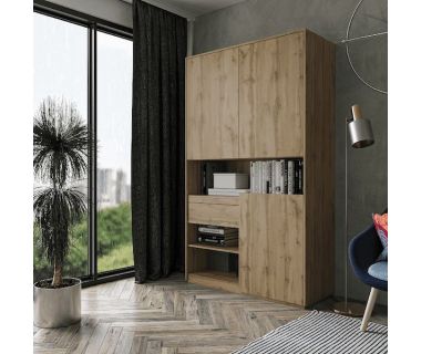 Шкаф распашной для книг и документов RS-1 от Moreli (Морели) Аппалачи