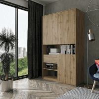 Шкаф распашной для книг и документов RS-1 от Moreli (Морели) Аппалачи