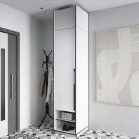 Шафа розстібна зі штангою на одну дверку з антресоллю R-0002 від Moreli (Морелі) Біла