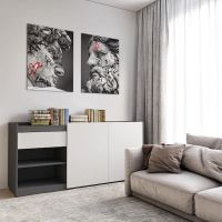 Комод без ручек с двумя дверцами, ящиком и полками RS-3 Moreli (Морели) Антрацит/Белый