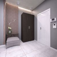 Шкаф распашной с трубой и полками для одежды ST-0009 от Moreli (Морели)