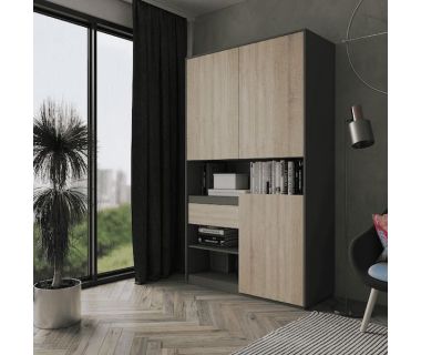 Шкаф распашной для книг и документов RS-1 от Moreli (Морели) Антрацит/Дуб Сонома