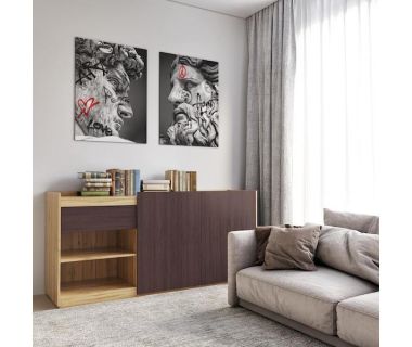 Комод без ручок з двома дверцятами, ящиком та полицями RS-3 Moreli (Морелі) Аппалачі/Венге темний