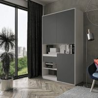 Шкаф распашной для книг и документов RS-1 от Moreli (Морели) Белый/Антрацит