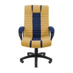 Крісло комп'ютерне Атлант - Пластик Річ - Раш 41 + Раш 88