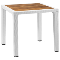 Стол Tilia Antares 80x80 см столешница ироко, ножки пластиковые белая слоновая кость