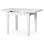 Стол раскладной TM-79 снежно-белый 90 (+25)*70*75 см