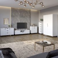 Комплект мебели для гостиной 5 предметов с черными ножками М-ЗОН Борн Нимфея Альба (белый) (MZN-031075)